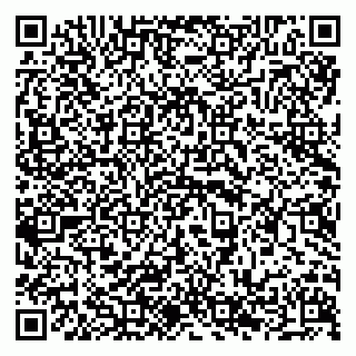 vCard 79294199714