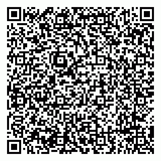 vCard 79294199720