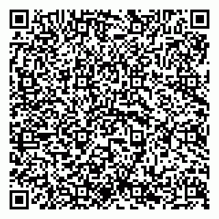 vCard 79294199741
