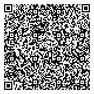 vCard 79294199742