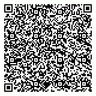 vCard 79294199746