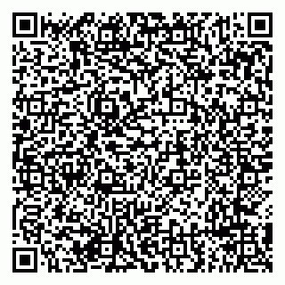 vCard 79294199760