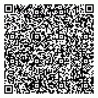 vCard 79294199767
