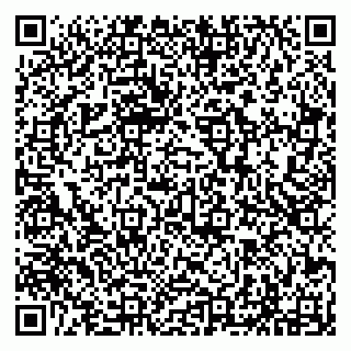 vCard 79294199780