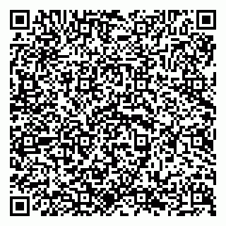 vCard 79294199790