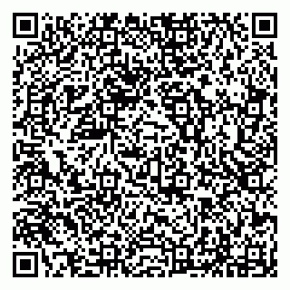 vCard 79294199793