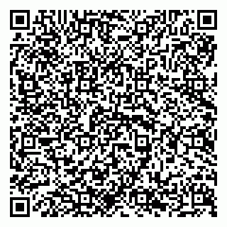 vCard 79294199800