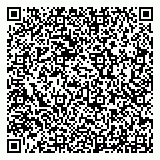 vCard 79294199801