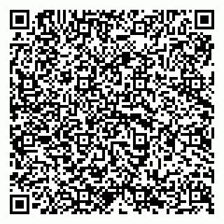 vCard 79294199803