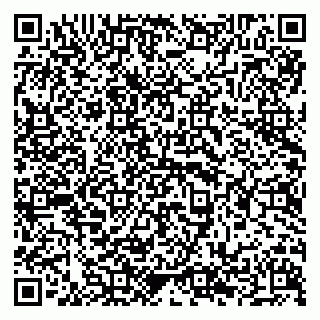 vCard 79294199804