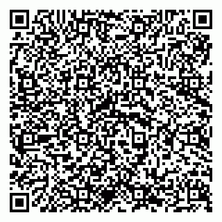 vCard 79294199807