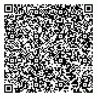 vCard 79294199813