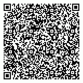 vCard 79294199833