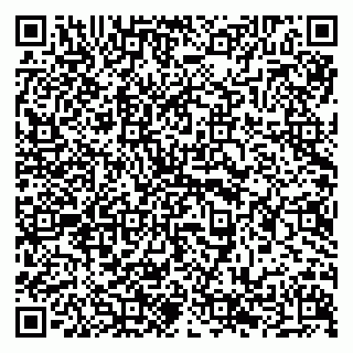 vCard 79294199839