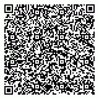 vCard 79294199873