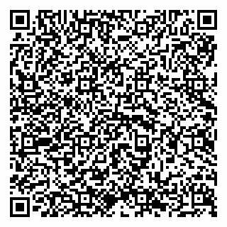 vCard 79294199878