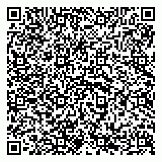 vCard 79294199879