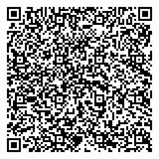 vCard 79294199880