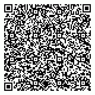 vCard 79294199909