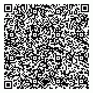 vCard 79294199910