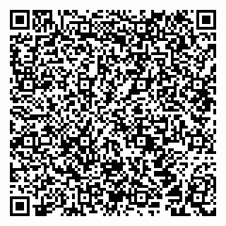 vCard 79294199913