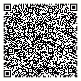 vCard 79294199933