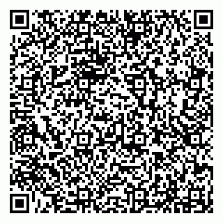vCard 79294199998
