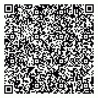 vCard 79295008533