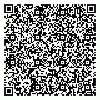 vCard 79295008705