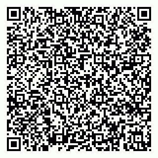 vCard 79295008729