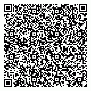 vCard 79295010376