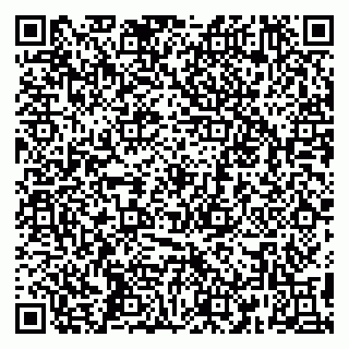 vCard 79295011297