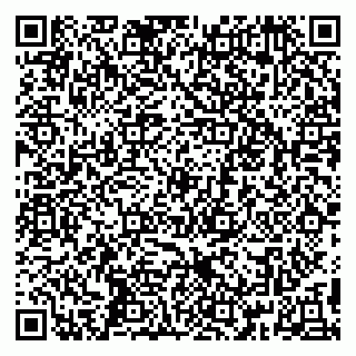 vCard 79295011389