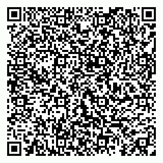 vCard 79295012001