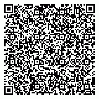 vCard 79295014003