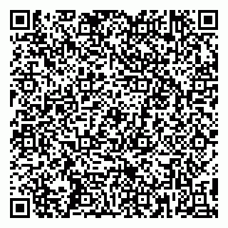 vCard 79295014133