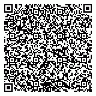 vCard 79295014199