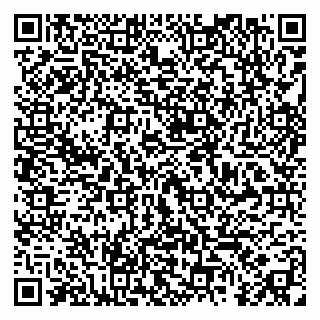 vCard 79295014205
