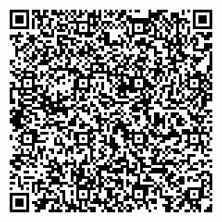vCard 79295014272