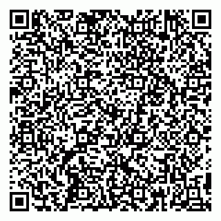 vCard 79295014273