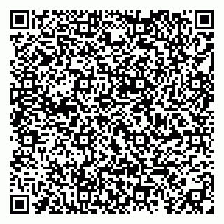 vCard 79295014287