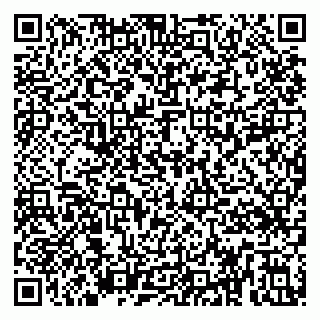 vCard 79295014303