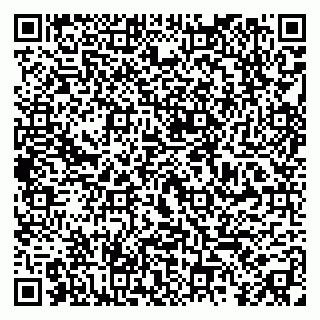 vCard 79295014334