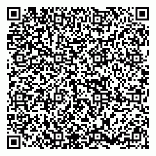 vCard 79295014339
