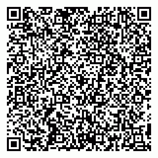 vCard 79295014347