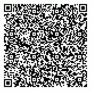 vCard 79295014389