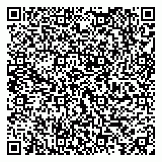 vCard 79295015373