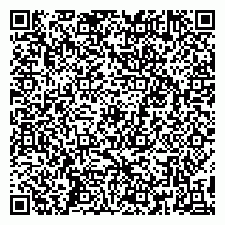 vCard 79295015403