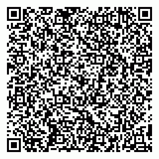 vCard 79295017751