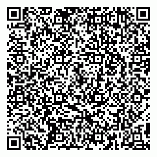 vCard 79295027111